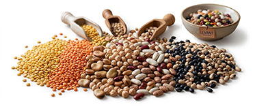 Legumes